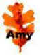 1amy-leaf.JPG (1647 bytes)