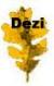 1dezi-leaf.jpg (1683 bytes)