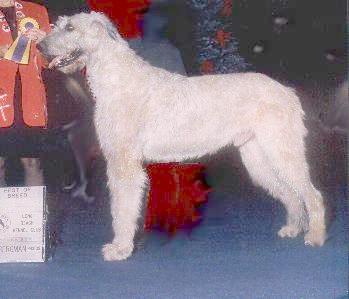 Godfrey5y.jpg (17006 bytes)