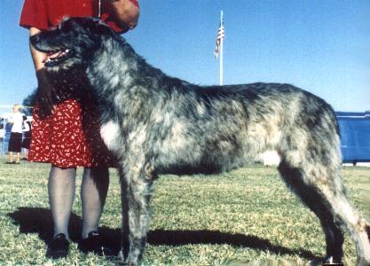 gus-3y.JPG (31419 bytes)