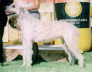 harry-stat-15m.JPG (18748 bytes)