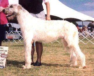 harry-stat-16mo.JPG (24119 bytes)