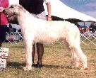 harry-t-t-16mo.JPG (5477 bytes)