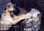 sally13w-t.JPG (5633 bytes)